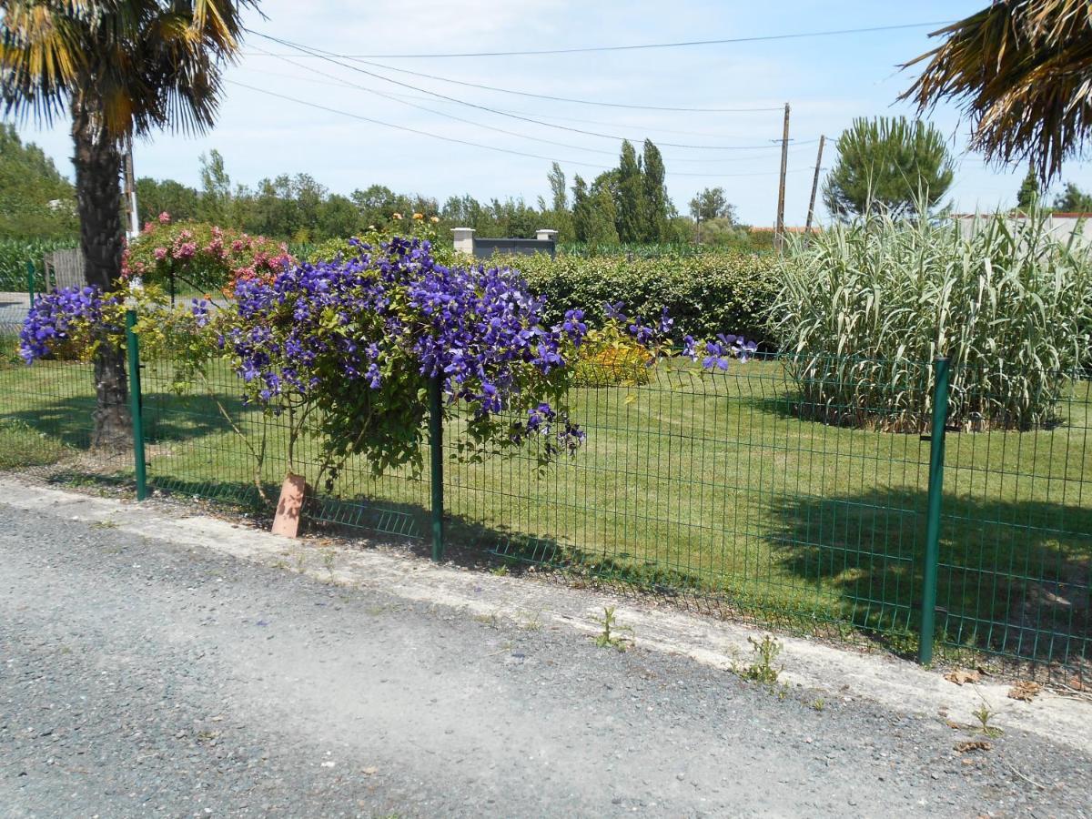 Marais Poitevin Bord Riviere Peche ,Barque, Velos, Wifi, Linge, Cheminee, Cuisine, Terrain De Boules La Taillee Exterior photo