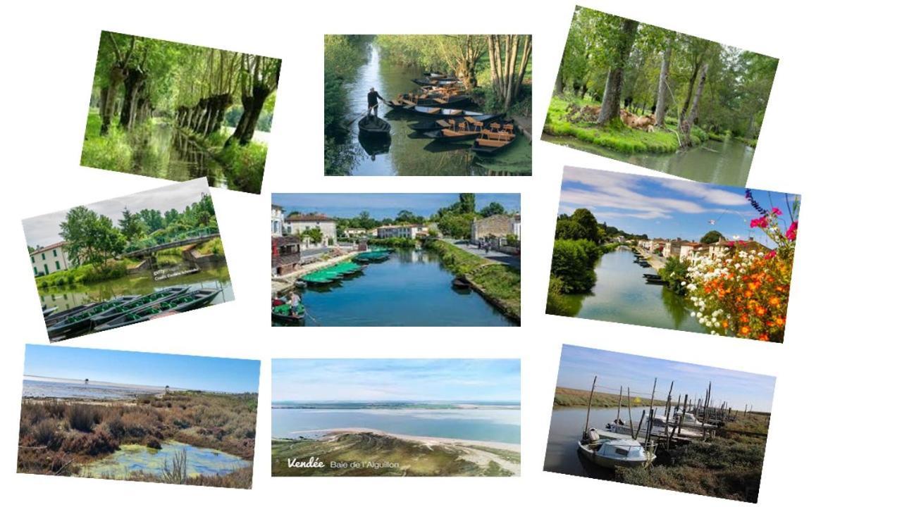 Marais Poitevin Bord Riviere Peche ,Barque, Velos, Wifi, Linge, Cheminee, Cuisine, Terrain De Boules La Taillee Exterior photo